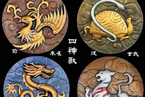 玄武顏色